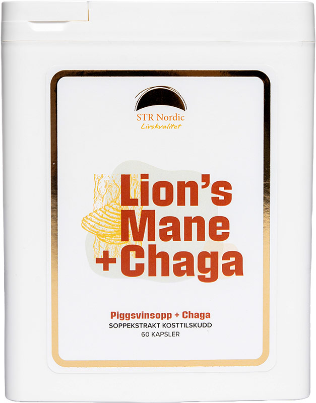Lion's Mane + Chaga